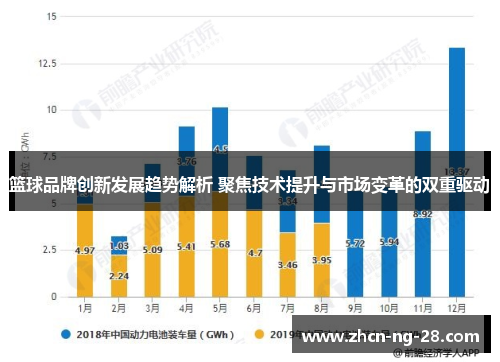 篮球品牌创新发展趋势解析 聚焦技术提升与市场变革的双重驱动