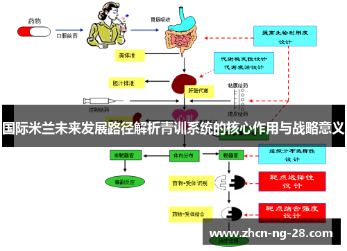 国际米兰未来发展路径解析青训系统的核心作用与战略意义