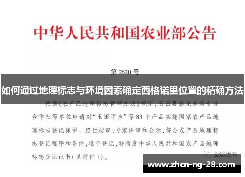 如何通过地理标志与环境因素确定西格诺里位置的精确方法