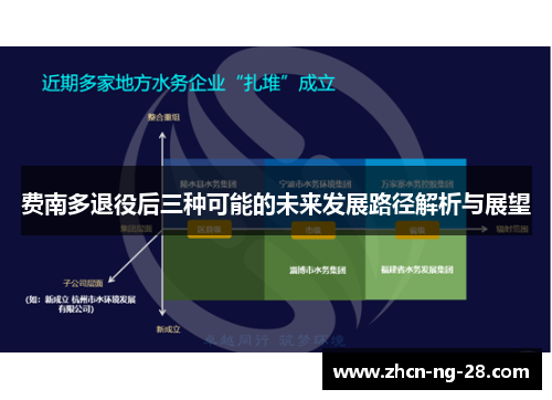 费南多退役后三种可能的未来发展路径解析与展望