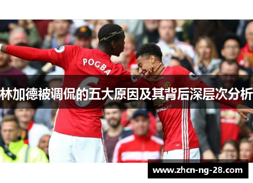 林加德被调侃的五大原因及其背后深层次分析 林加德被调侃的五大原因及其背后深层次分析